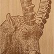 Holzbrett Wild Steinbock | Bild 2